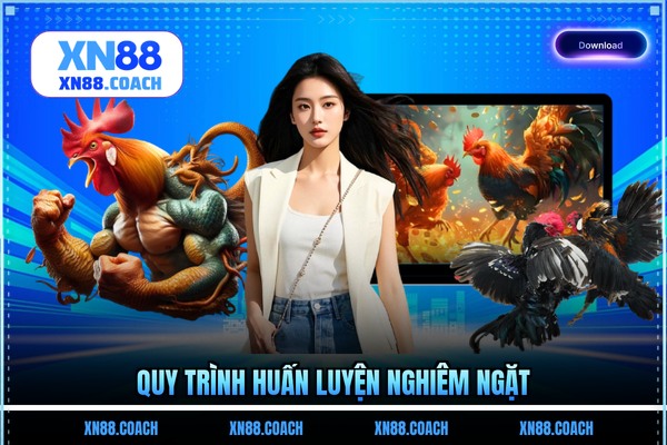 Quy trình huấn luyện nghiêm ngặt Quy trình huấn luyện nghiêm ngặt